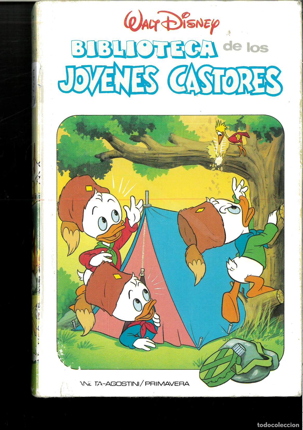 Libros: BIBLIOTECA DE LOS J&Oacute;VENES CASTORES N&ordm; 7 - Foto 1