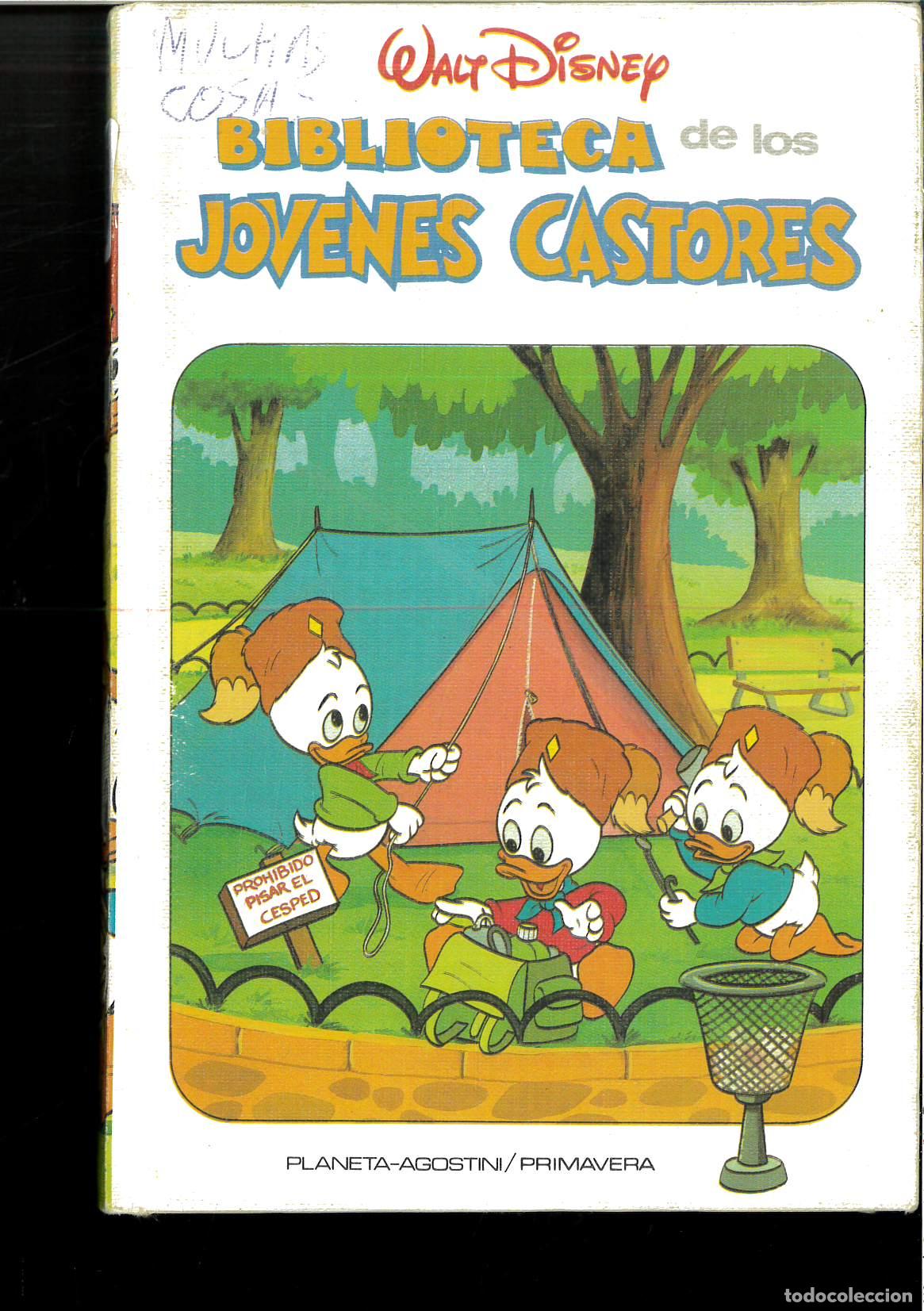 Libros: BIBLIOTECA DE LOS J&Oacute;VENES CASTORES N&ordm;5 - Foto 1