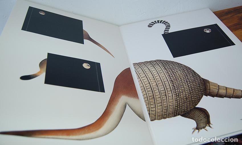 Libros: ANIMALES - PITTAU GERVAIS - Foto 4