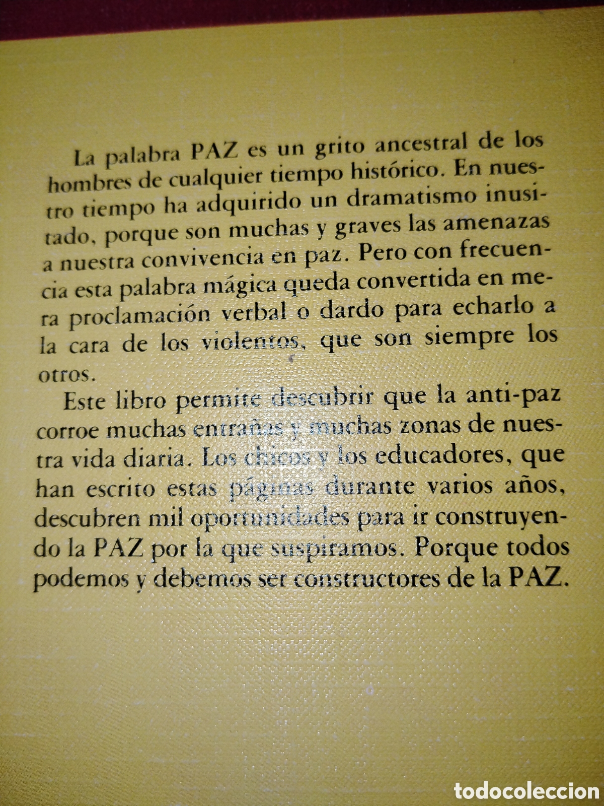 Libros: Chicos y educadores. Constructores de la paz. Editorial popular - Foto 2