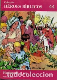 Libros: COLECCI&Oacute;N H&Eacute;ROES B&Iacute;BLICOS Ha llegado el rey - An&oacute;nimo - Foto 1