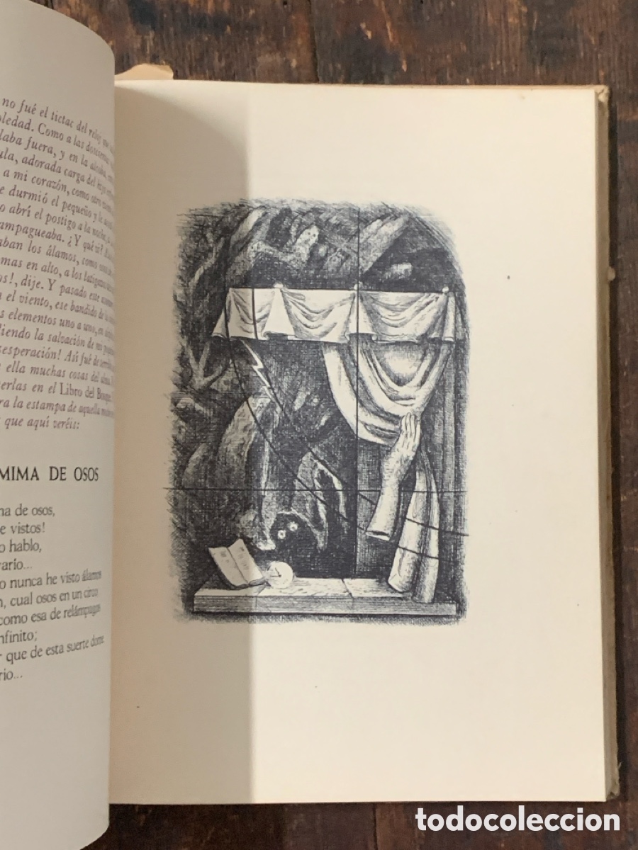 Libros: El Libro del Bosque Versos de Meditaci&oacute;n, Arturo Capdevilla - GUILLERMO KRAFT LTDA - Foto 3