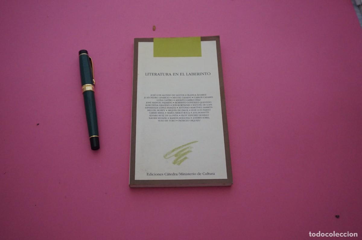 Libros: AMF-34B/ LITERATURA EN EL LABERINTO / EDICIONES CATEDRA - Foto 1