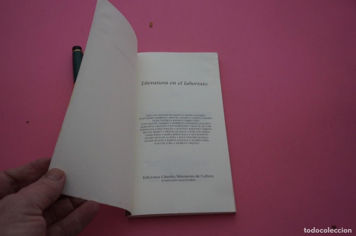 Libros: AMF-34B/ LITERATURA EN EL LABERINTO / EDICIONES CATEDRA - Foto 3