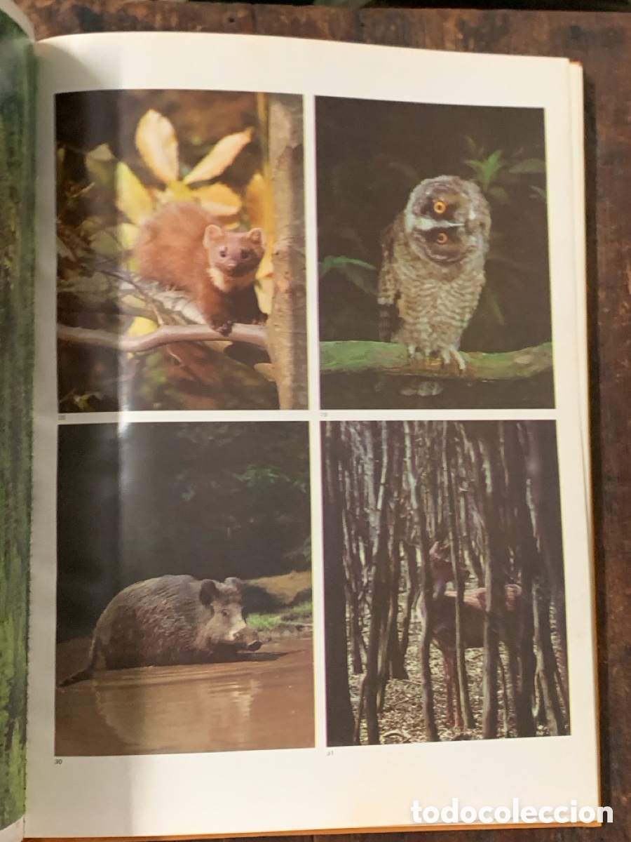 Libros: La Naturaleza, Max A.Wyss - JAIMES LIBROS 1977 - Foto 3