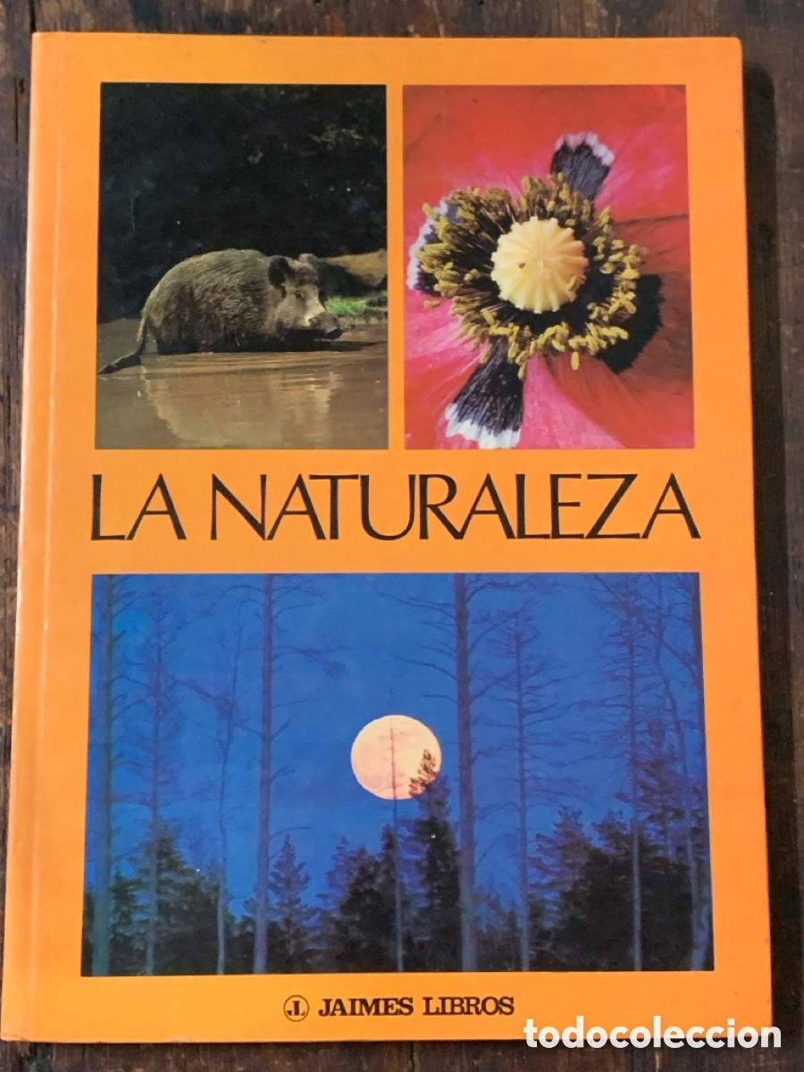 Libros: La Naturaleza, Max A.Wyss - JAIMES LIBROS 1977 - Foto 1