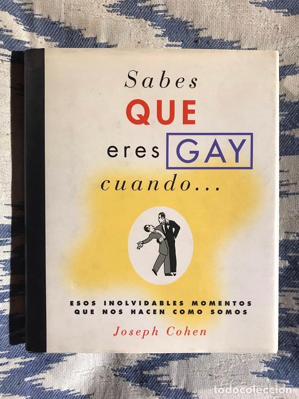 Libros: Sabes Que Eres Gay Cuando - Joseph Cohen - Foto 1