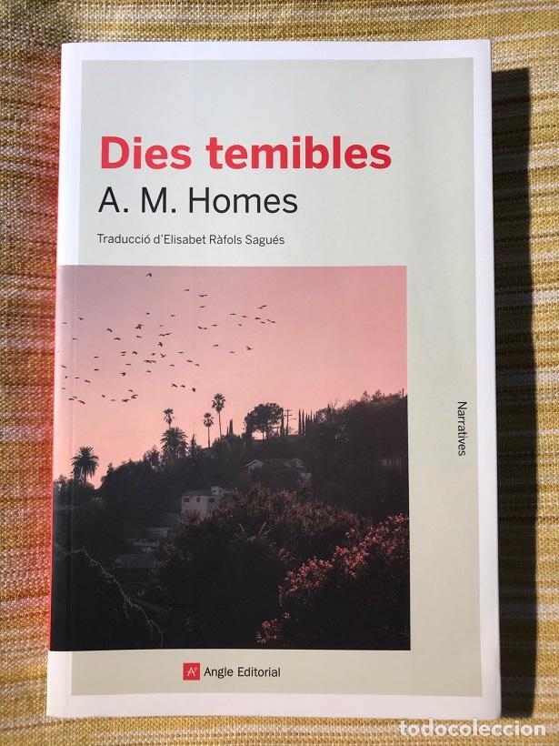 Libros: Dies temibles - Amy Michael Homes - Foto 1
