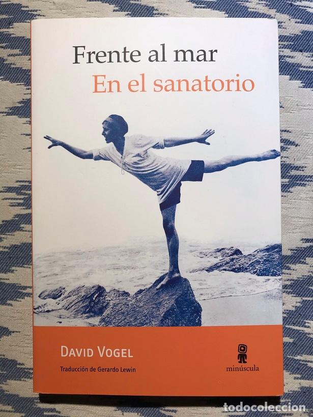 Libros: Frente al mar. En el sanatorio - David Vogel - Foto 1