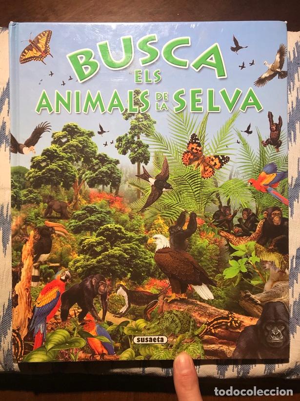 Libros: Busca els animals de la selva - Pere Rovira - Foto 1