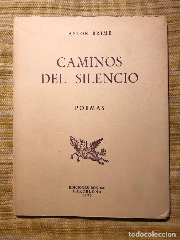 Libros: Caminos del silencio. Poemas - Astor Brime - Foto 1