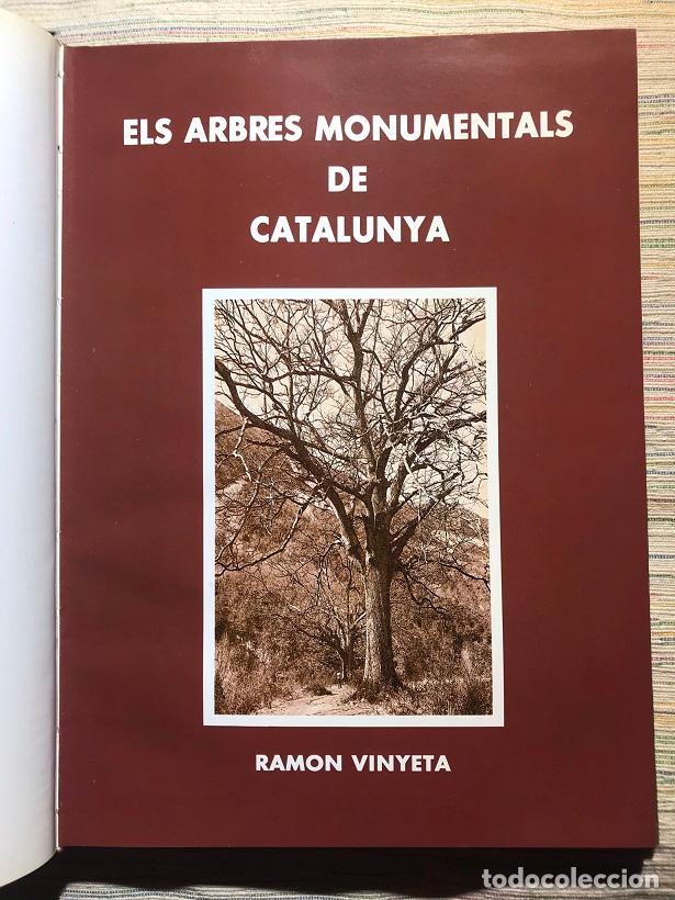 Libros: Els arbres monumentals de Catalunya - Ramon Vinyeta - Foto 3