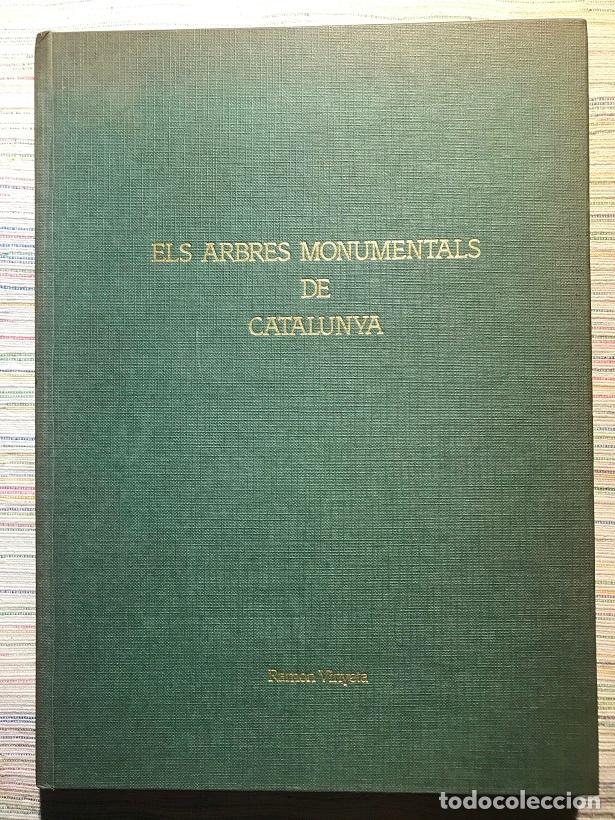 Libros: Els arbres monumentals de Catalunya - Ramon Vinyeta - Foto 1