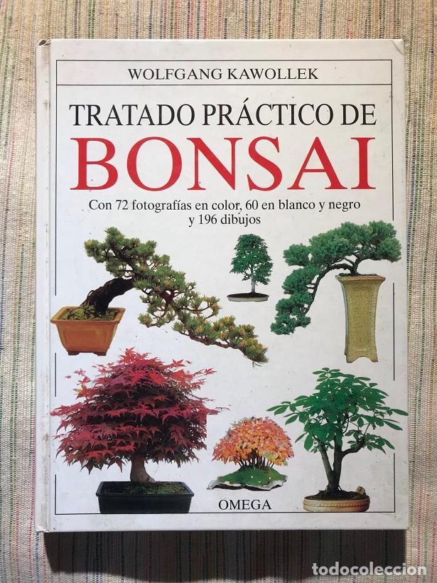 Libros: Tratado pr&aacute;ctico de bonsai - Wolfgang Kawollek - Foto 1