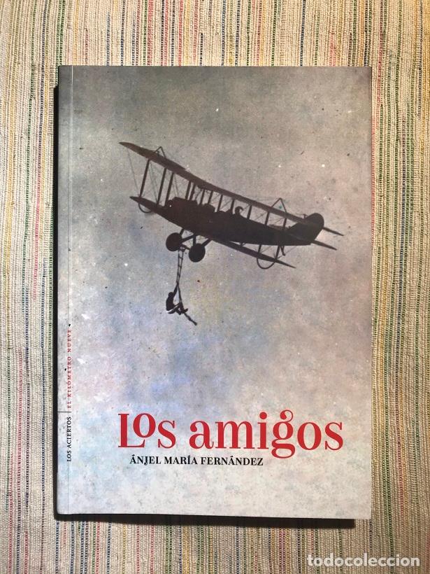Libros: Los amigos - &Aacute;njel Mar&iacute;a Fern&aacute;ndez - Foto 1