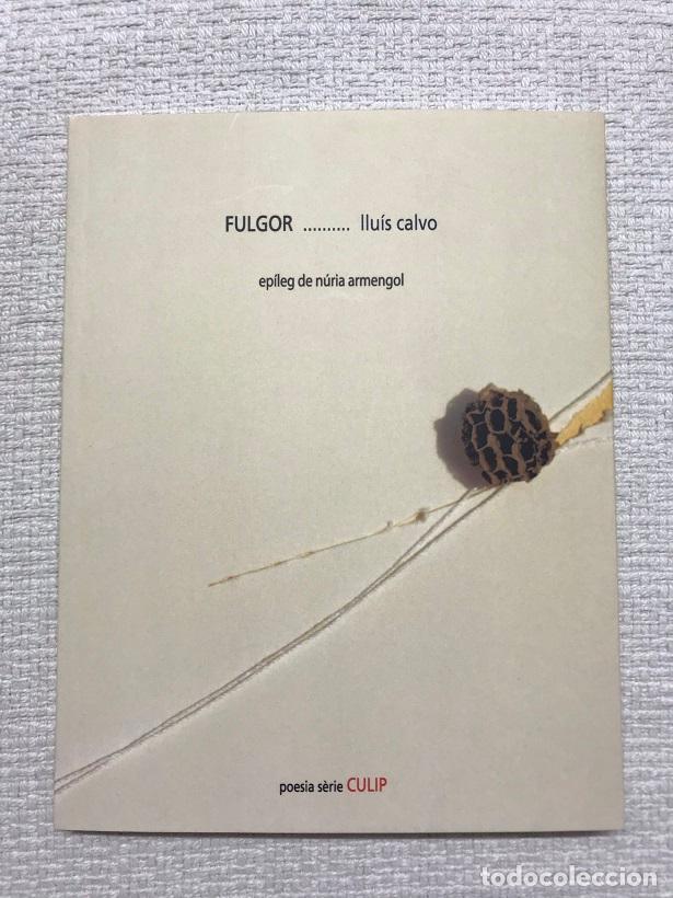 Libros: Fulgor - Llu&iacute;s Calvo - Foto 1