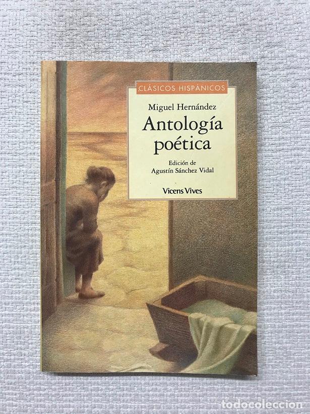Libros: Antolog&iacute;a po&eacute;tica - Miguel Hern&aacute;ndez - Foto 1