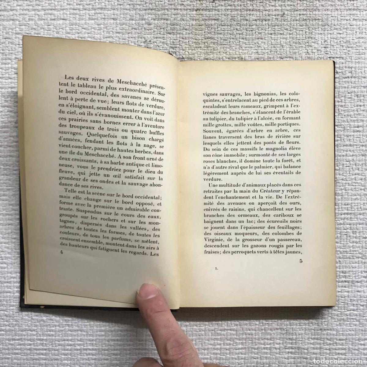 Libros: Atala - Ren&eacute; de Chateaubriand - Foto 2