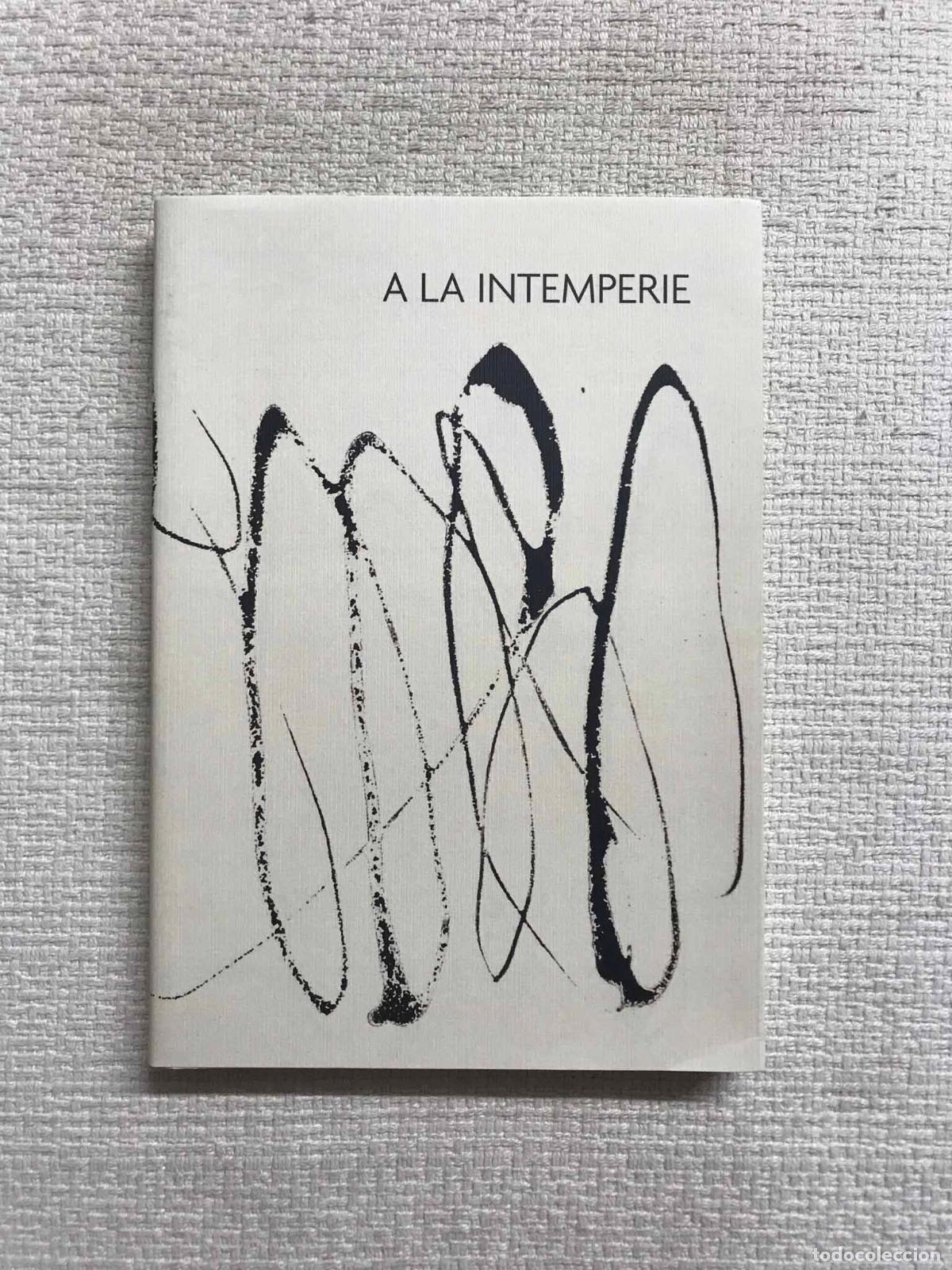 Libros: A la intemperie. Meditaciones - Mari&agrave; Corb&iacute; - Foto 1