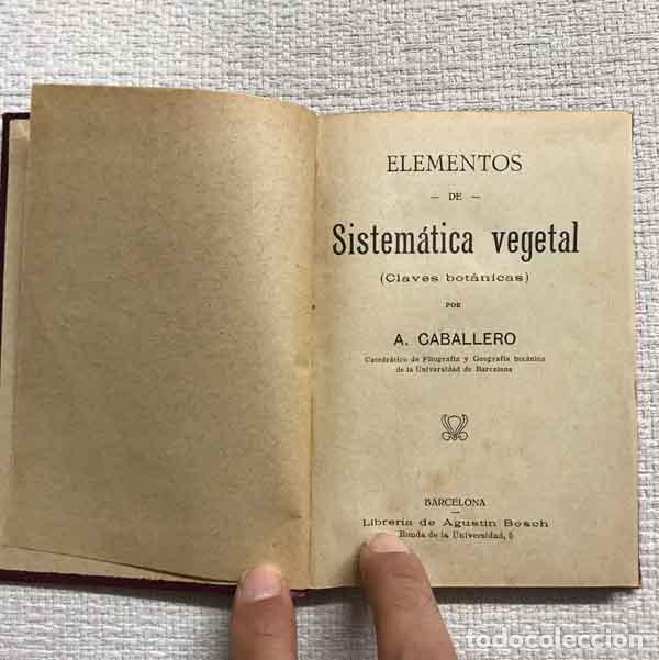 Libros: Elementos de sistem&aacute;tica vegetal (claves bot&aacute;nicas) - A. Caballero - Foto 2
