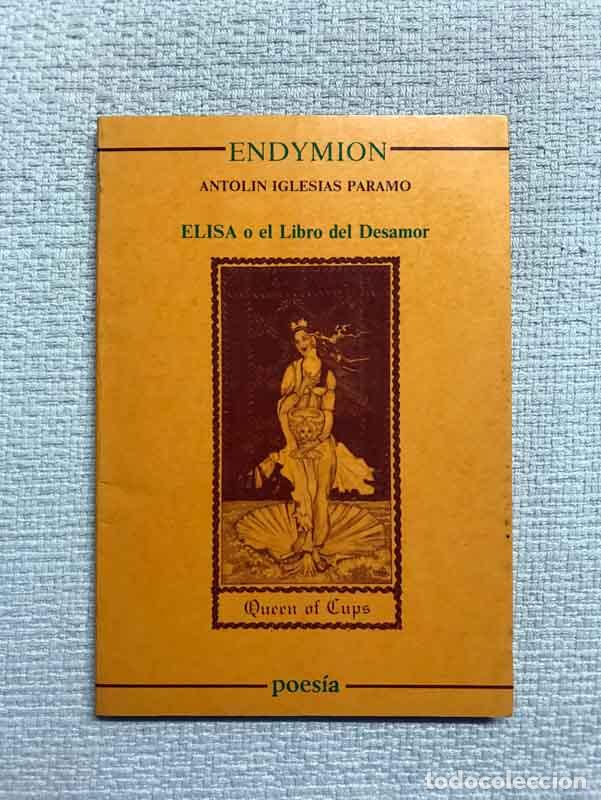 Libros: Elisa o El libro del desamor - Antol&iacute;n Iglesias P&aacute;ramo - Foto 1