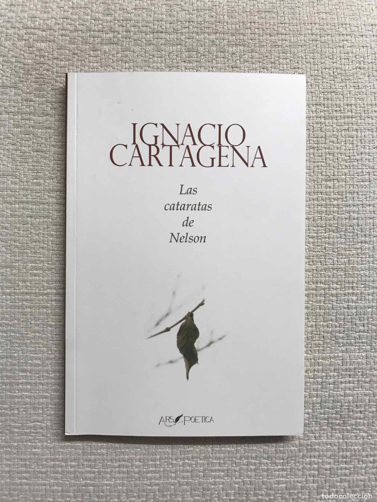 Libros: Las cataratas de Nelson - Ignacio Cartagena - Foto 1