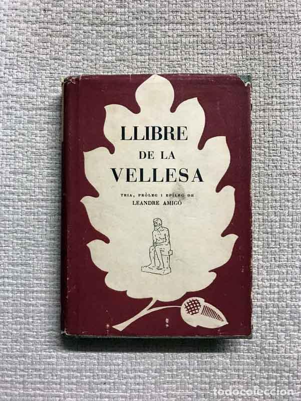 Libros: Llibre de la vellesa - Leandre Amig&oacute; (ed.) - Foto 1