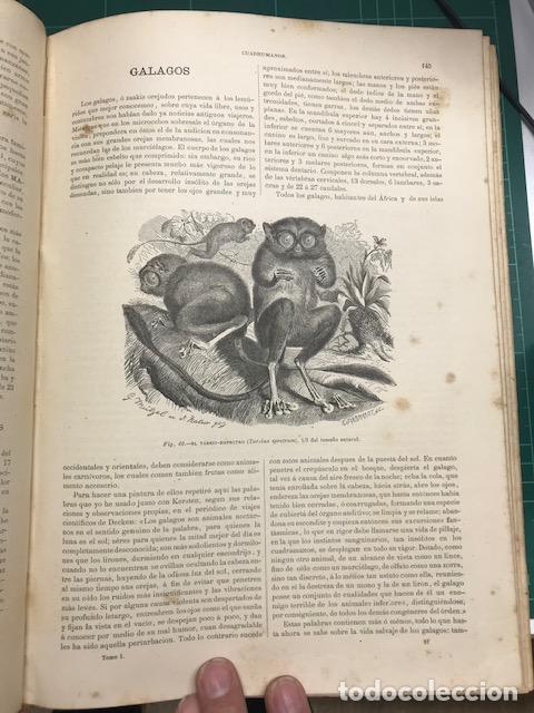 Libros: La vida de los animales. Obra completa, 6 vol&uacute;menes - A.E. Brehm - Foto 4