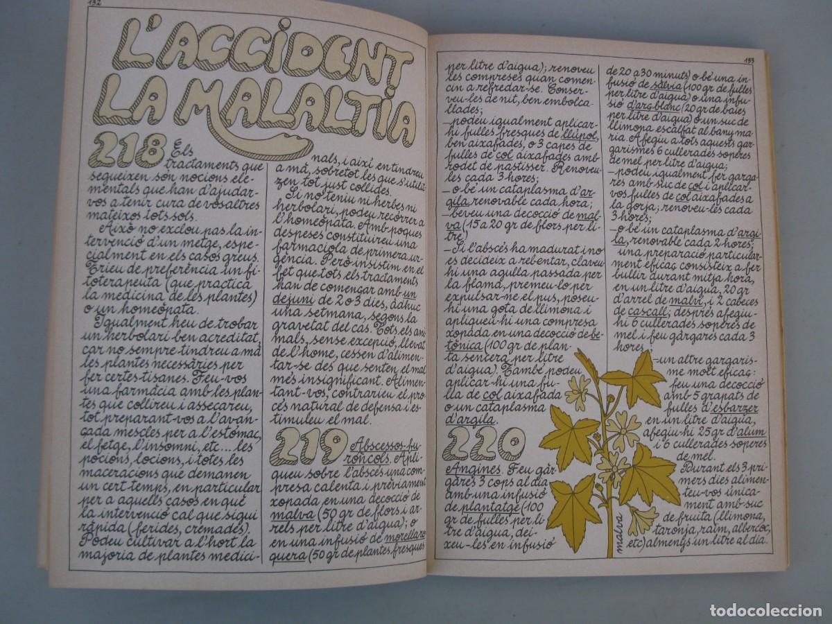 Libros: TORNEM A VIURE - JACQUES MASSACRIER - ALTA FULLA - EN CATAL&Aacute;N - A&Ntilde;O 1978. - Foto 3