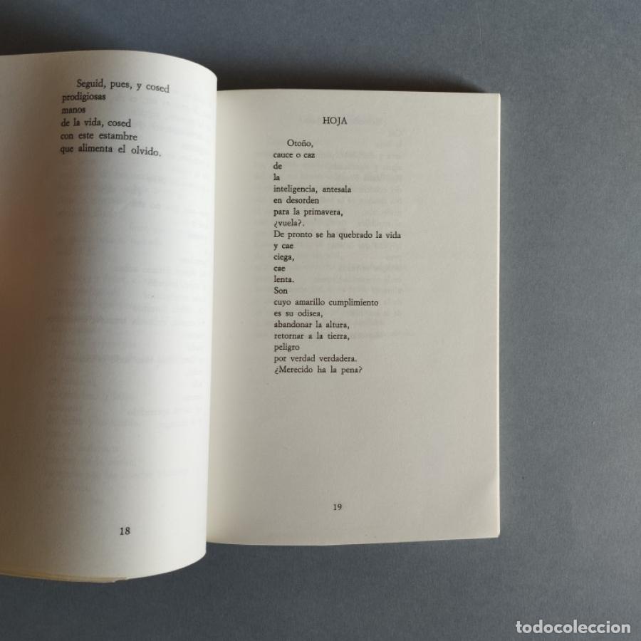 Libros: Tetraedro. - Tundidor, Jes&uacute;s Hilario . - Foto 3