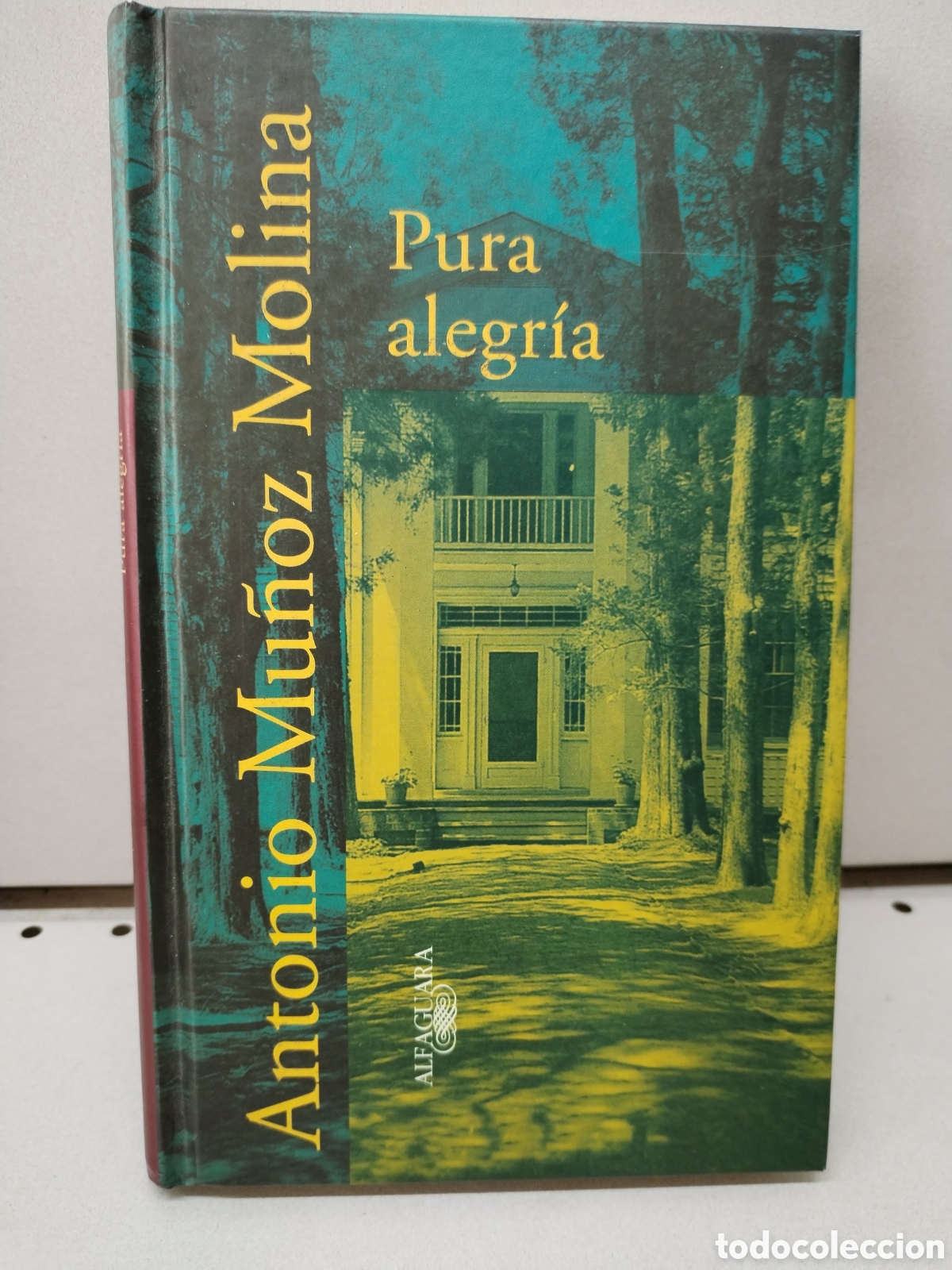 Libros: PURA ALEGRIA - Mu&ntilde;oz Molina, Antonio - Foto 1