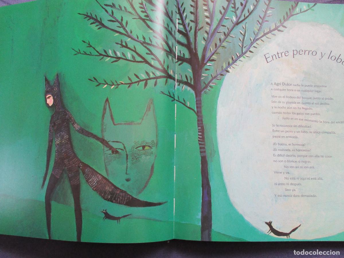 Libros: HILO DE HADA &middot; PHILIPPE LECHERMEIER y AUR&Eacute;LIA FRONTY 2009 - Foto 3