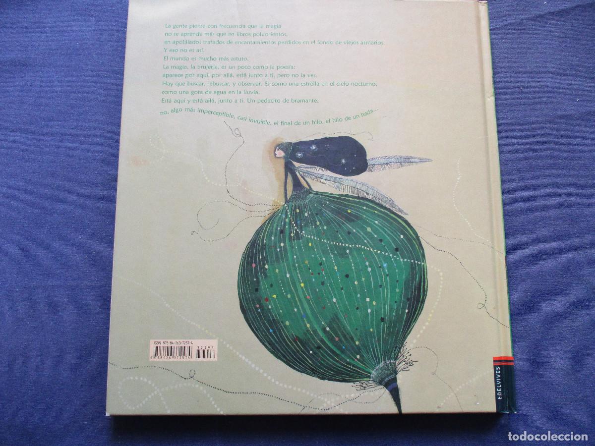 Libros: HILO DE HADA &middot; PHILIPPE LECHERMEIER y AUR&Eacute;LIA FRONTY 2009 - Foto 6