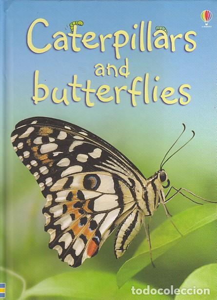 Libros: Caterpillars and Butterflies - Stephanie Turnbull - Foto 1