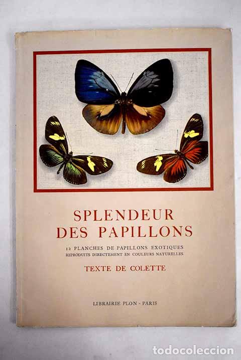 Libros: Splendeur des papillons.- Colette - Foto 1