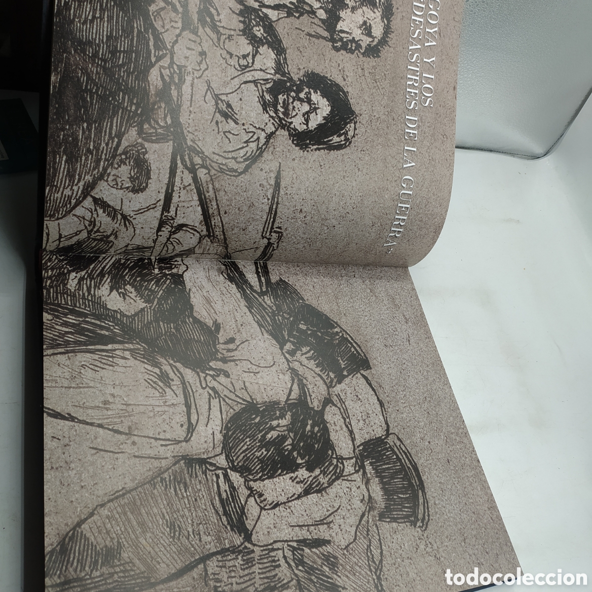 Libros: Goya y los desastres de la guerra. Ed. Planeta - Foto 4