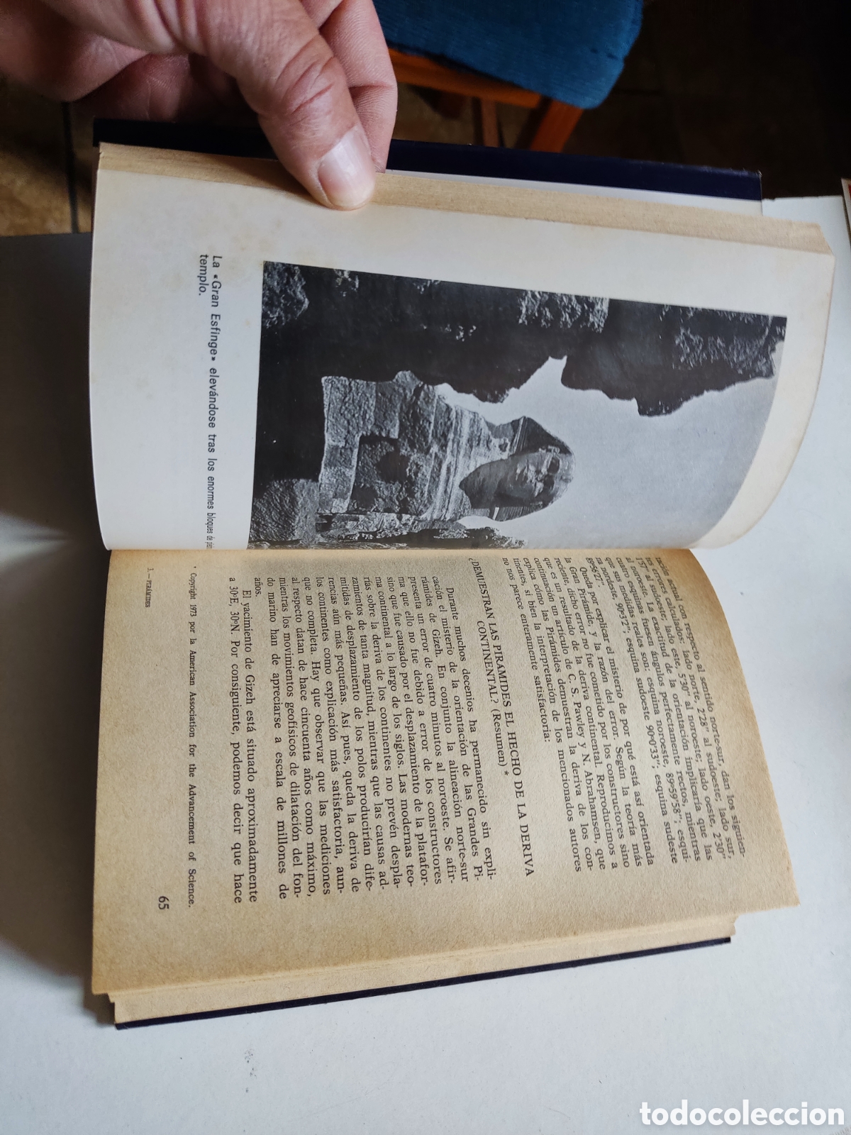 Libros: El poder m&aacute;gico de las pir&aacute;mides de Max Toth y Greg Nielsen - Foto 3