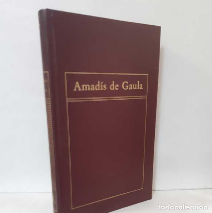 Libros: AMAD&Iacute;S DE GAULA - Foto 1
