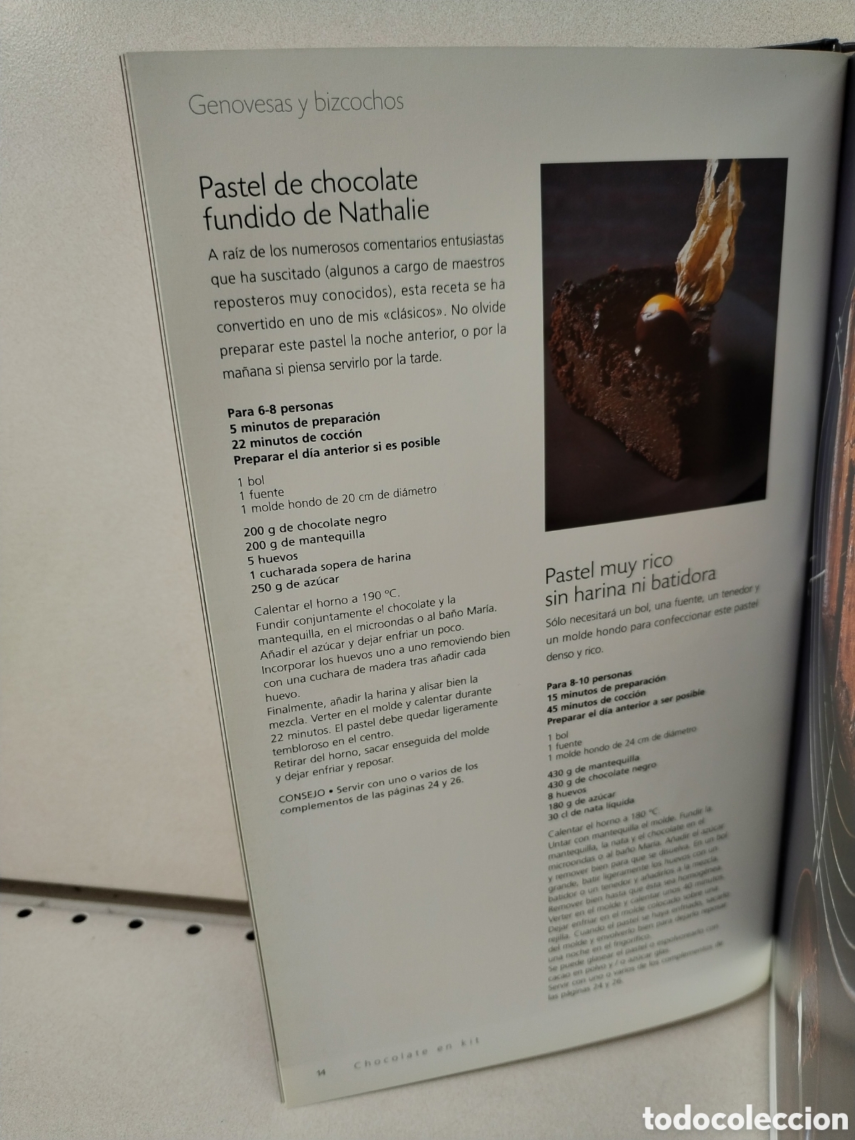 Libros: Pasi&oacute;n por el chocolate - Trish Deseine - Foto 2