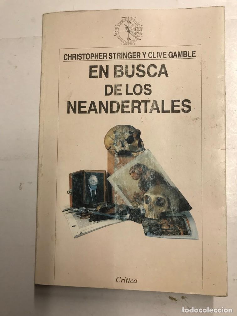Libros: EN BUSCA DE LOS NEANDERTALES. - CHRISTOPHER STRINGER y CLIVE GAMBLE. - Foto 1
