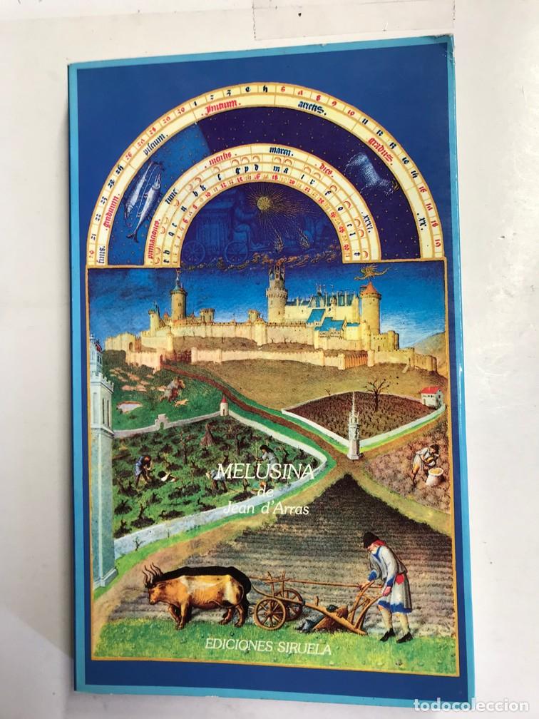 Libros: MELUSINA. - JEAN D&acute;ARRAS. - Foto 1