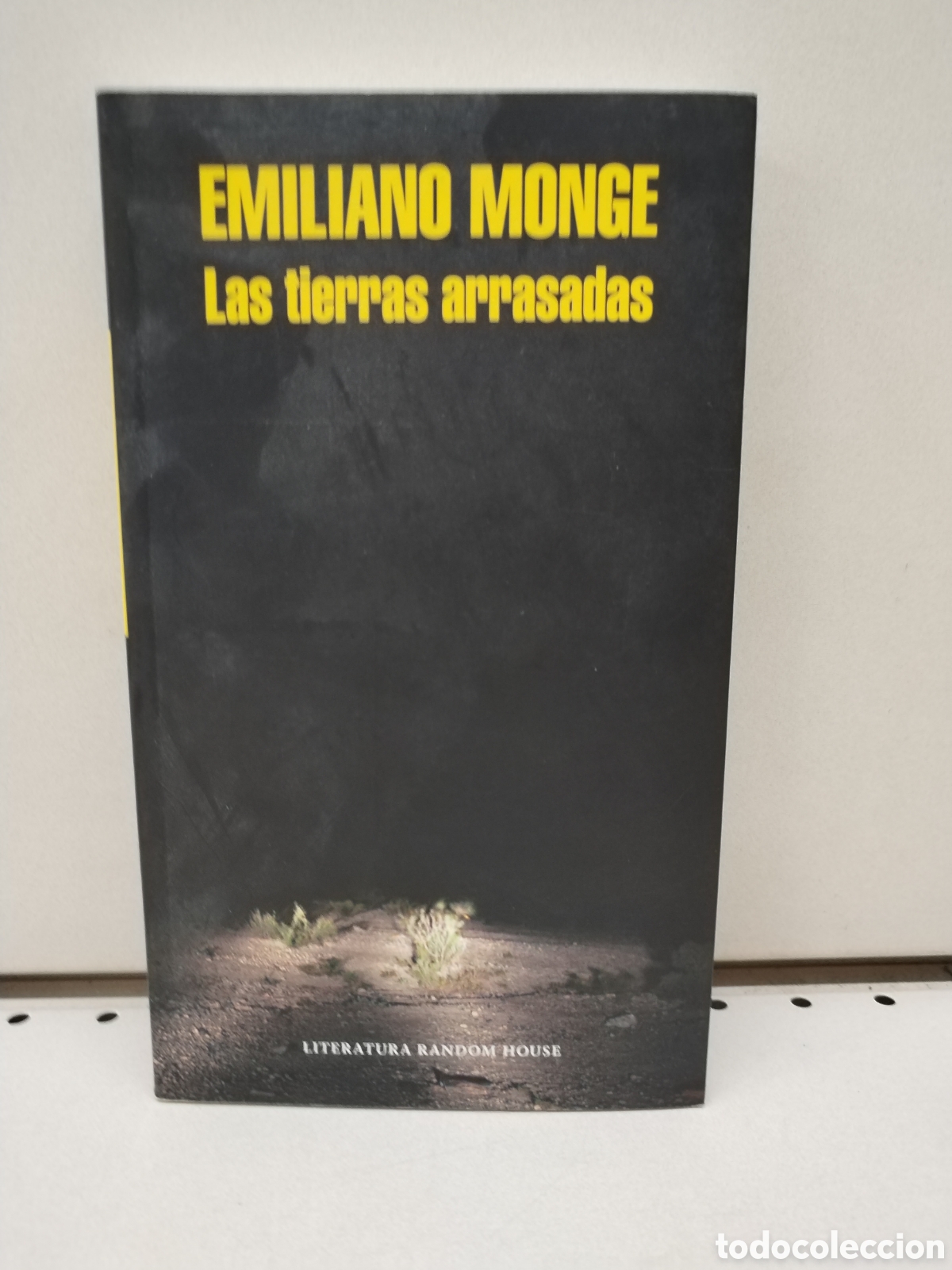 Libros: Las tierras arrasadas (Mapa de las lenguas) - Monge, Emiliano - Foto 1