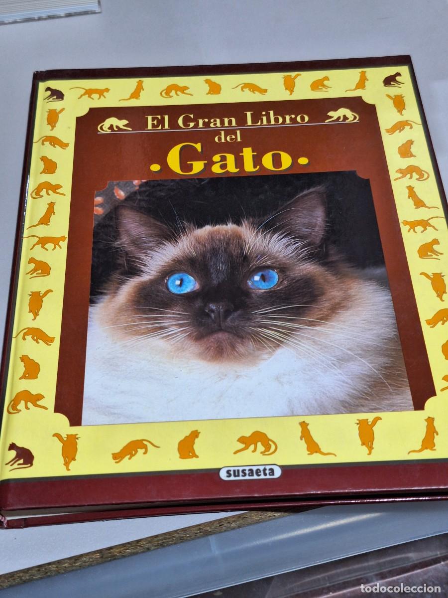 Libros: El gran libro del gato . Susaeta - Foto 1