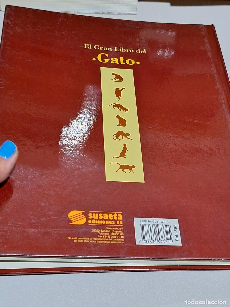Libros: El gran libro del gato . Susaeta - Foto 2