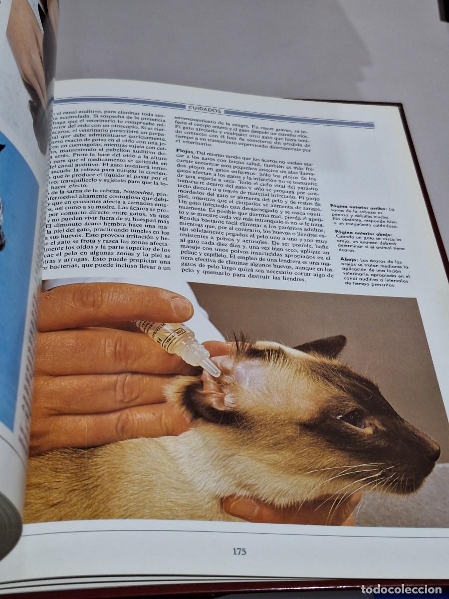 Libros: El gran libro del gato . Susaeta - Foto 3