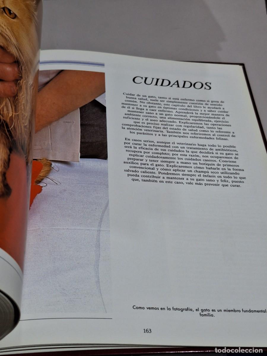 Libros: El gran libro del gato . Susaeta - Foto 4