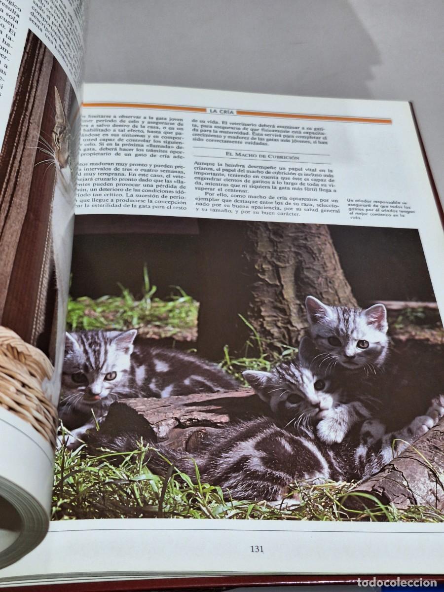 Libros: El gran libro del gato . Susaeta - Foto 6