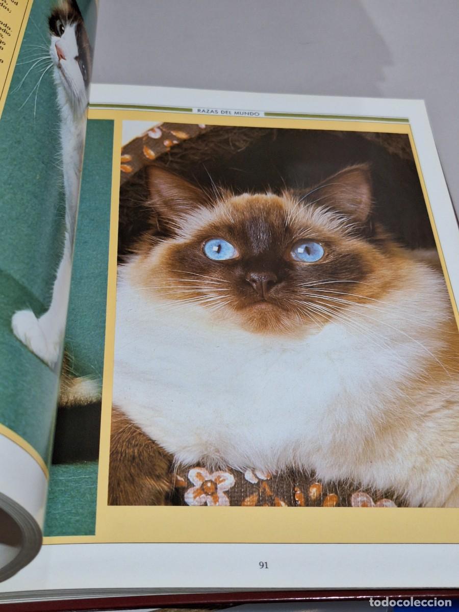 Libros: El gran libro del gato . Susaeta - Foto 7