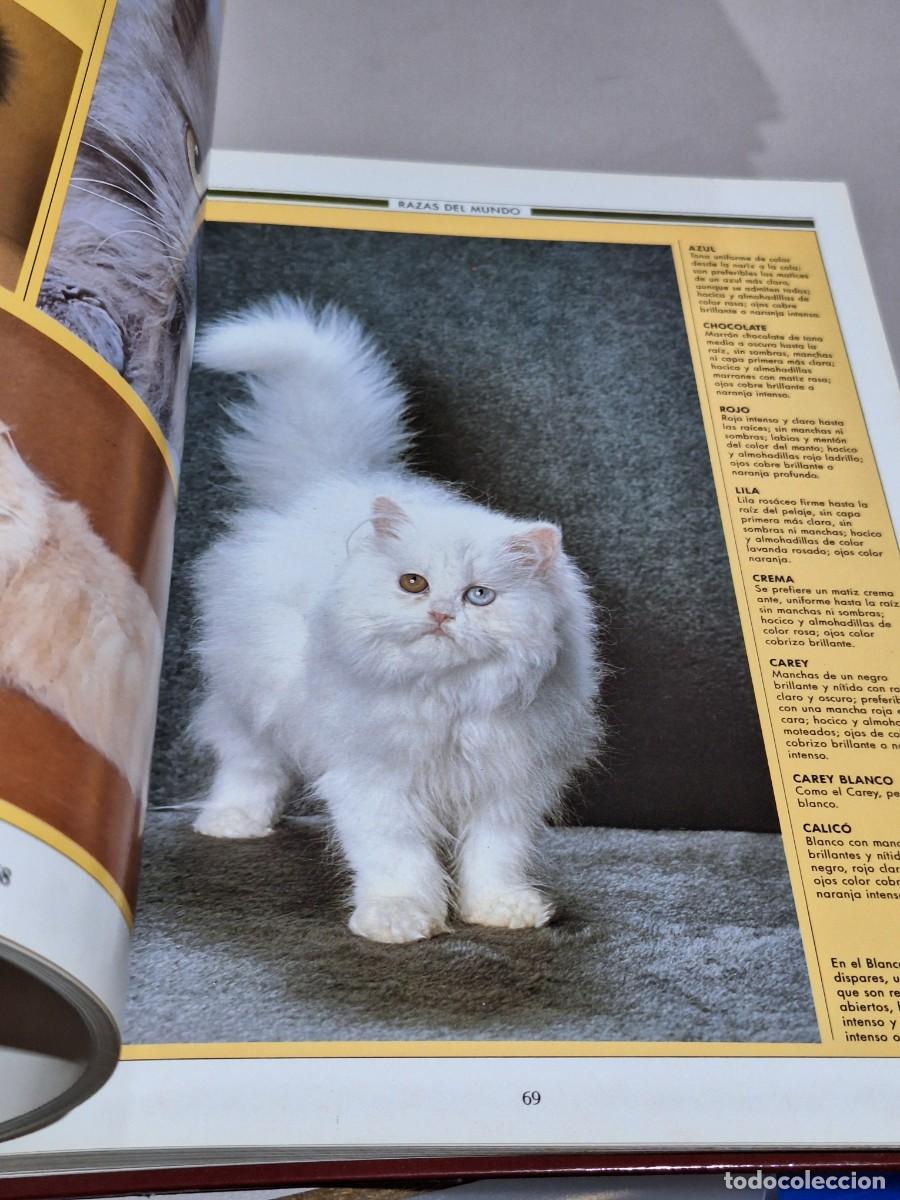 Libros: El gran libro del gato . Susaeta - Foto 8
