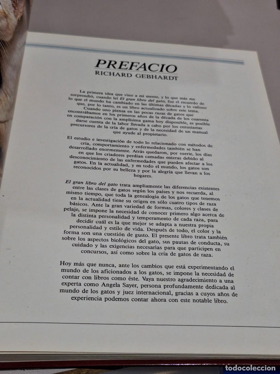 Libros: El gran libro del gato . Susaeta - Foto 10